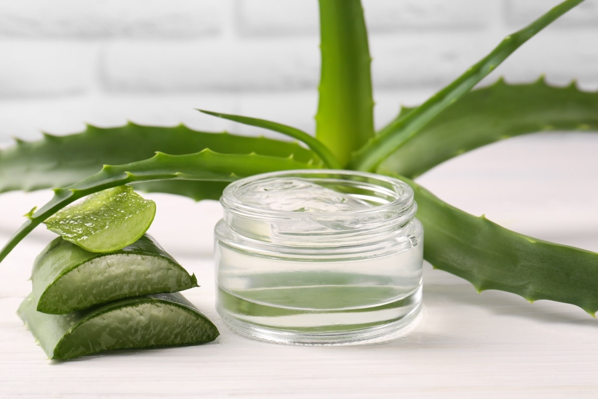 Wie man eine Gesichtscreme mit Aloe Vera für die Kollagenproduktion und Hautpflege herstellt