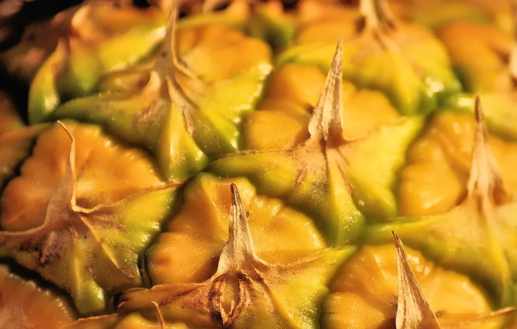 Diese Frucht ist eine Vitaminbombe. Die Deutschen haben sie direkt vor der Nase, nutzen sie aber nicht.