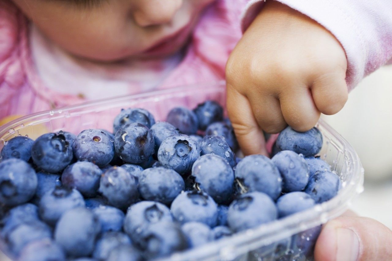 Die beliebten Sommerbeeren sind nicht für jeden geeignet. Wer sollte Heidelbeeren meiden?