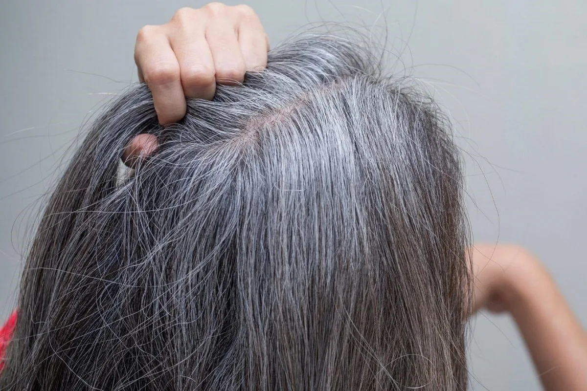 Diese Pflanze befreit Sie von grauen Haaren ohne chemische Farbstoffe und in nur 15 Minuten.