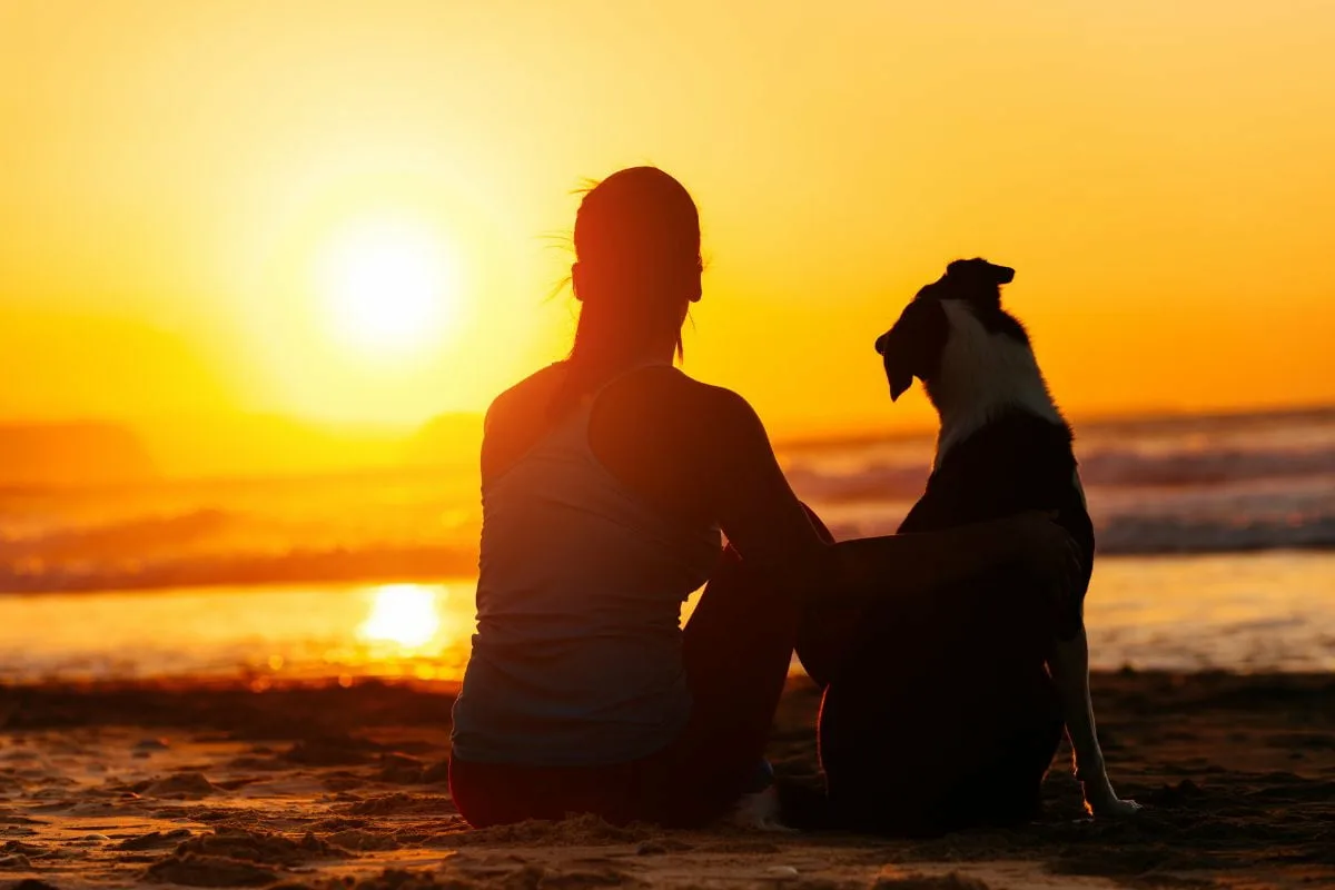 Was bedeutet es aus psychologischer Sicht, wenn ein Mensch seinen Hund wie ein Kind ansieht?