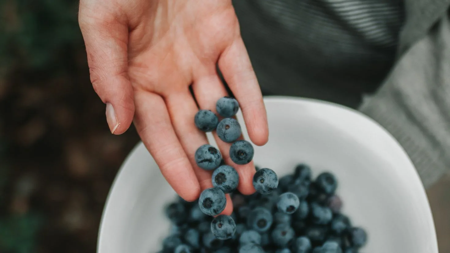 Die beliebten Sommerbeeren sind nicht für jeden geeignet. Wer sollte Heidelbeeren meiden?