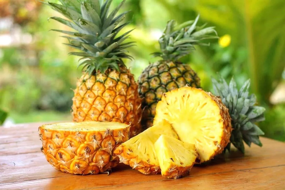 Diese Frucht ist eine Vitaminbombe. Die Deutschen haben sie direkt vor der Nase, nutzen sie aber nicht.