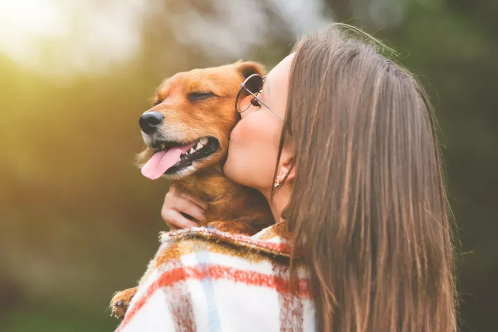 Was bedeutet es aus psychologischer Sicht, wenn ein Mensch seinen Hund wie ein Kind ansieht?